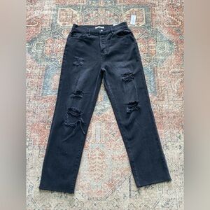 Pacsun jeans High Rise Straight Black Distressed Denim/Size 27 NWT